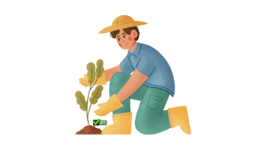 Tree Service SEO Baltimore